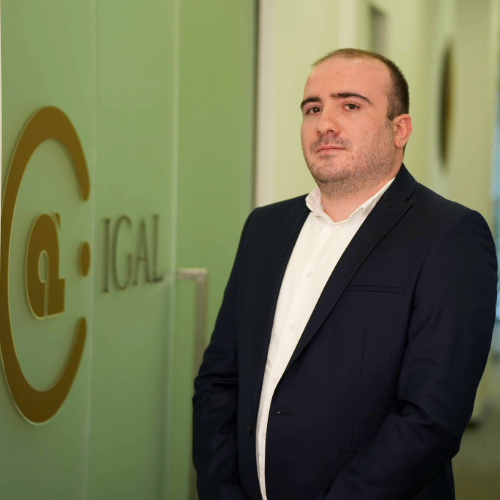 ირაკლი გაფრინდაშვილი