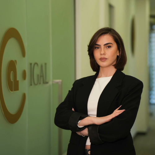 მარი ნემსიწვერიძე